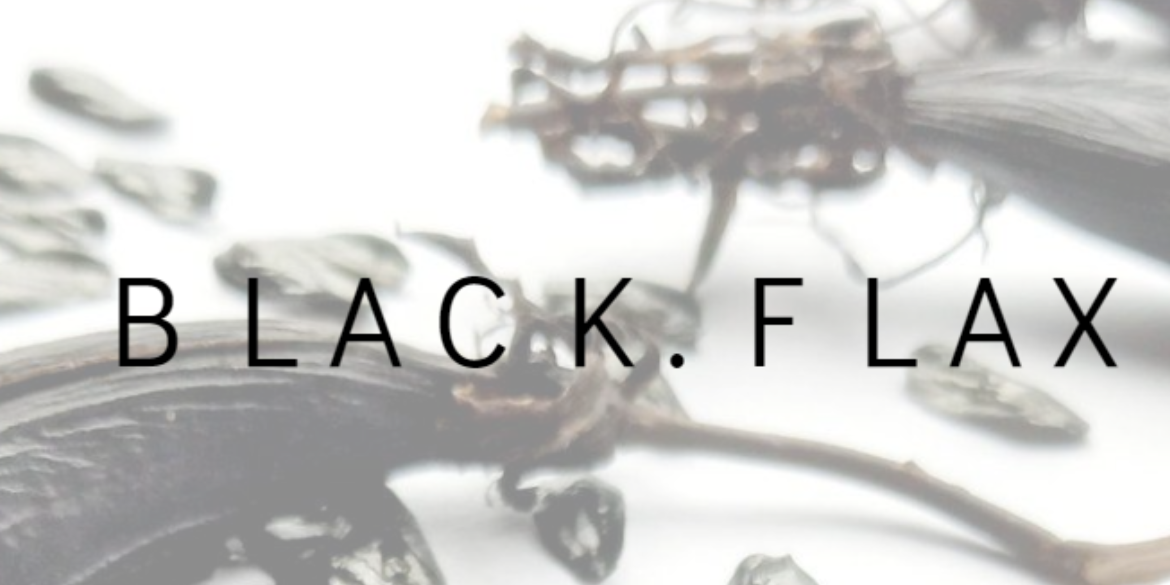 Black Flax Ltd